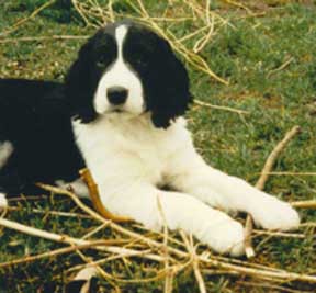 http://www.onthetopicof.com/Tina/BabyTinawstick.jpg